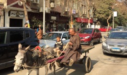 Grandpa and Grandson On Chic Maadi Street, Cairo