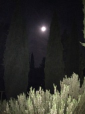 Full Moon over Tuscany Campground